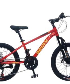 Xe Đạp Thể Thao Học Sinh BEIRX Khung Thép Có Đề 20/22/24