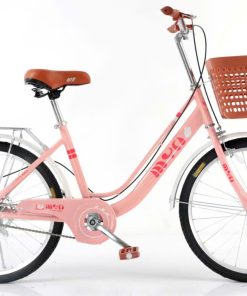 Xe Đạp MYN - Xe Đạp Mini học sinh