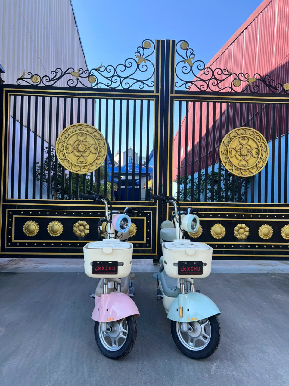 z7270121516143_d39073f1f25d00d2814ff36ff388ac46