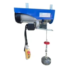 Tời Điện Dosu PA200 12M 100-200Kg 220V