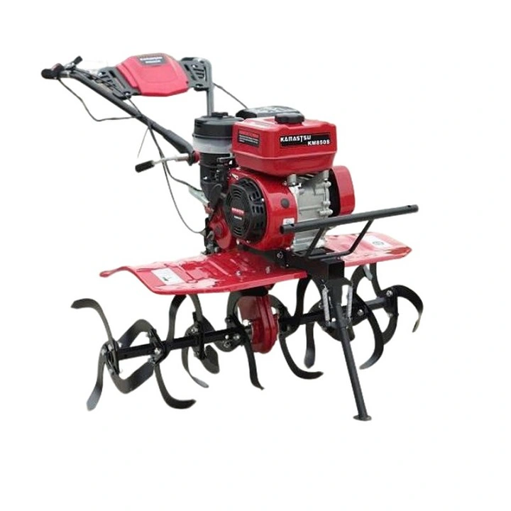 untitled-image-jpeg-02cb8ac9-7d04-4d60-baaa-f7d4fb2c4b22