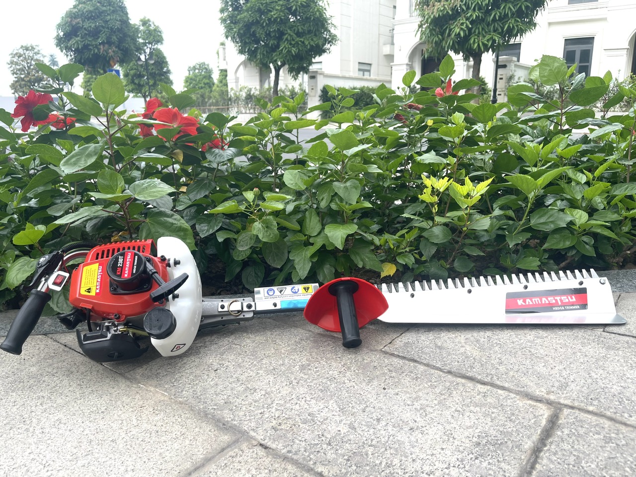 dx5XQvHK3GScj9Tpq64UTDZzuQ8Enonh11OkU6Sv