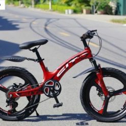 Xe Đạp Vành Đúc ST600 Size 20 Inch – Dành Cho Bé Từ 7-10 Tuổi