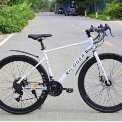 Xe Đạp Touring RICOGER RC-8 Tay Cong Khung Thép Sơn Tĩnh Điện, Bộ Đề Số SUNRUN 24 Tốc Độ, Vành Thép 700C, - hình 3
