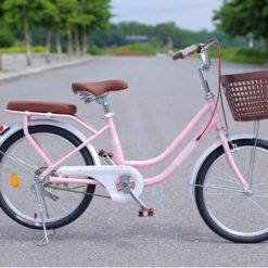 Xe Đạp Mini Nữ Ricoger RC40