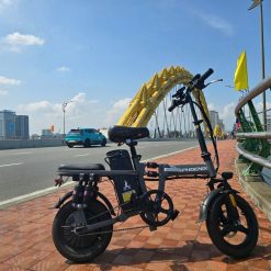Xe Đạp Trợ Lực Điện Gấp Gọn M1 PHOENIIX - hình 2