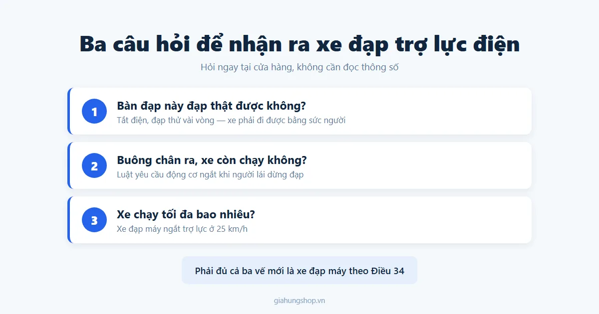 Ba câu hỏi để nhận biết xe đạp trợ lực điện: đạp được không, buông chân xe còn chạy không, tốc độ tối đa bao nhiêu